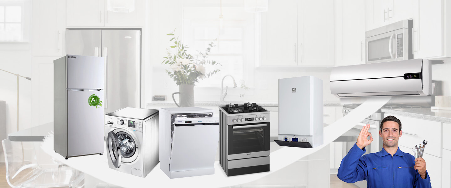 Saruhanlı Electrolux Servisi